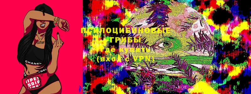 Псилоцибиновые грибы MAGIC MUSHROOMS  Красавино 